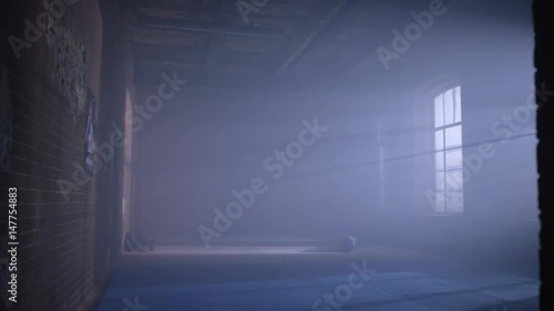 gym in the basement. Interior of a boxing hall in loft style. Empty wrestling room. Grunge gym Interior with Equipment. Interior of a fitness hall with punching bags