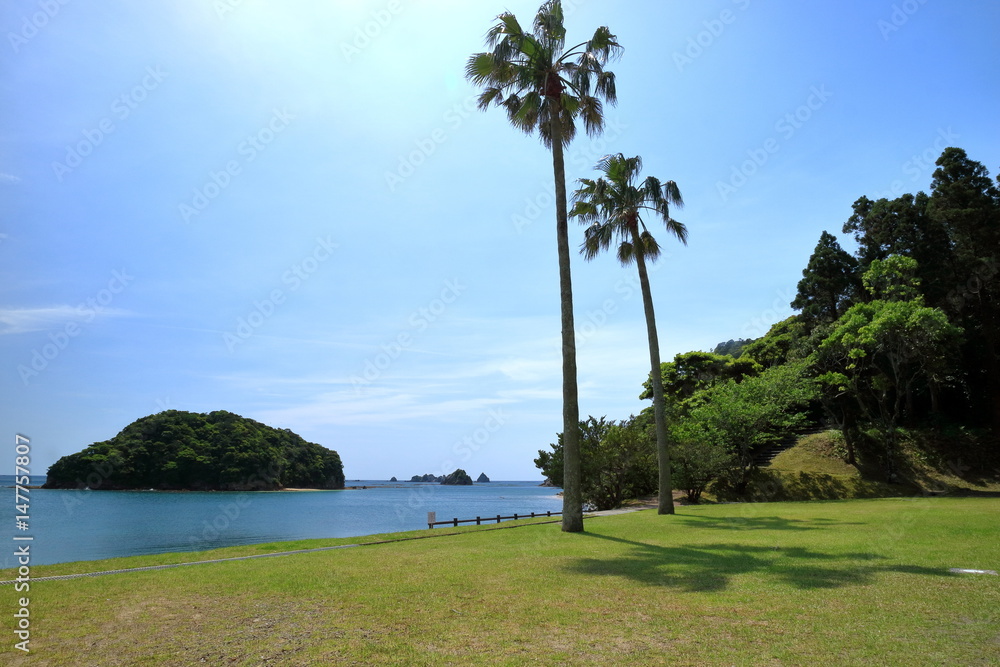 きれいな海 日南市栄松ビーチ