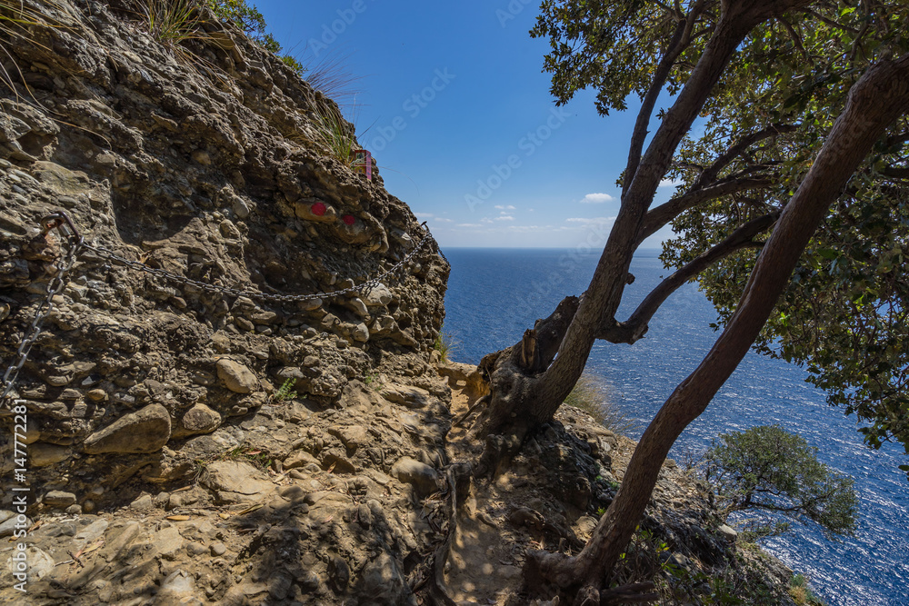 Tigullio hiking trail climbing up between rocks overlooking Mediterranean Sea, Liguria, Italy Tigullio hiking trail climbing up between rocks overlooking Mediterranean Sea, Liguria, Italy