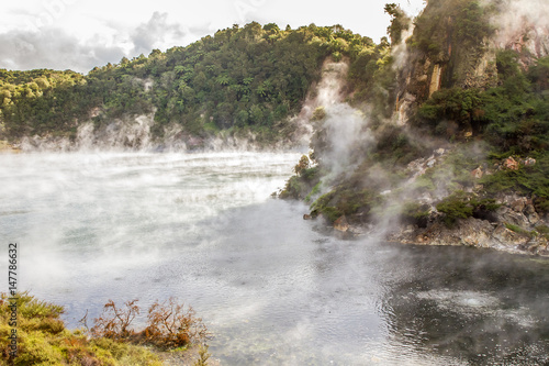 geothermal valley waimangu near rotorua  new zealand