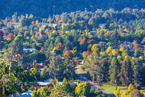 Rural town in autumn - green, yellow, and orange trees. Bright, Victoria, Australia
