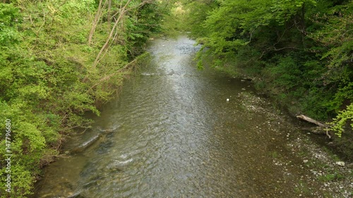 The river Schwechat in Austria in 4K