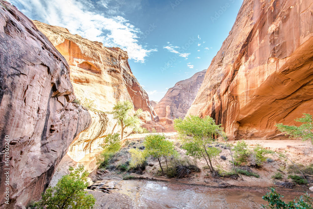 Bright desert canyon utah with stream