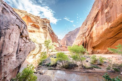 Bright desert canyon utah with stream
