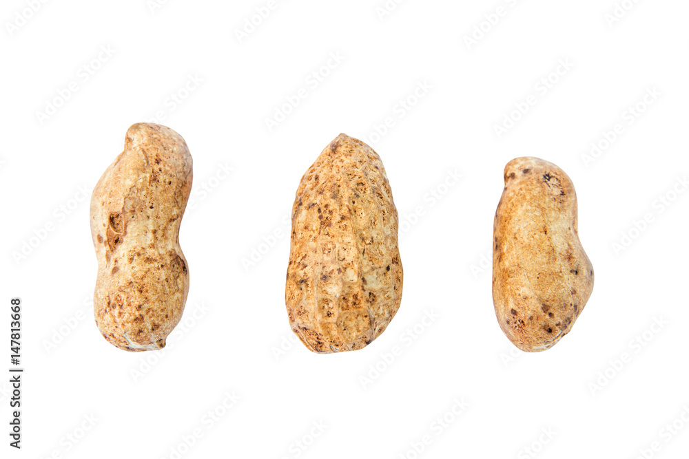 Peanut isolate on white background Peanut isolate on white background
