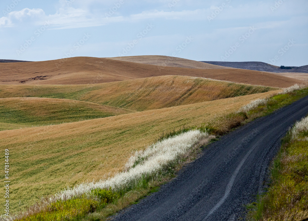 Palouse country road
