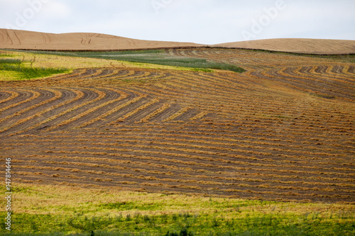 Plakat mowed field pattern