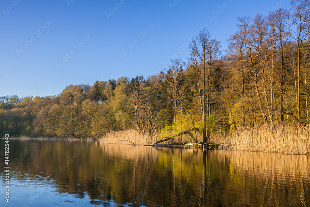Fototapeta premium wiosenny poranek nad jeziorem Wadąg