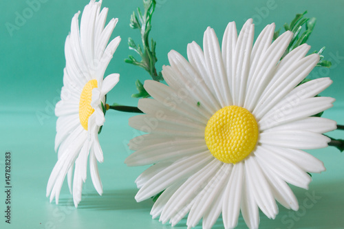 White chamomiles made of artificial material. The flowers are on a neutral green background.