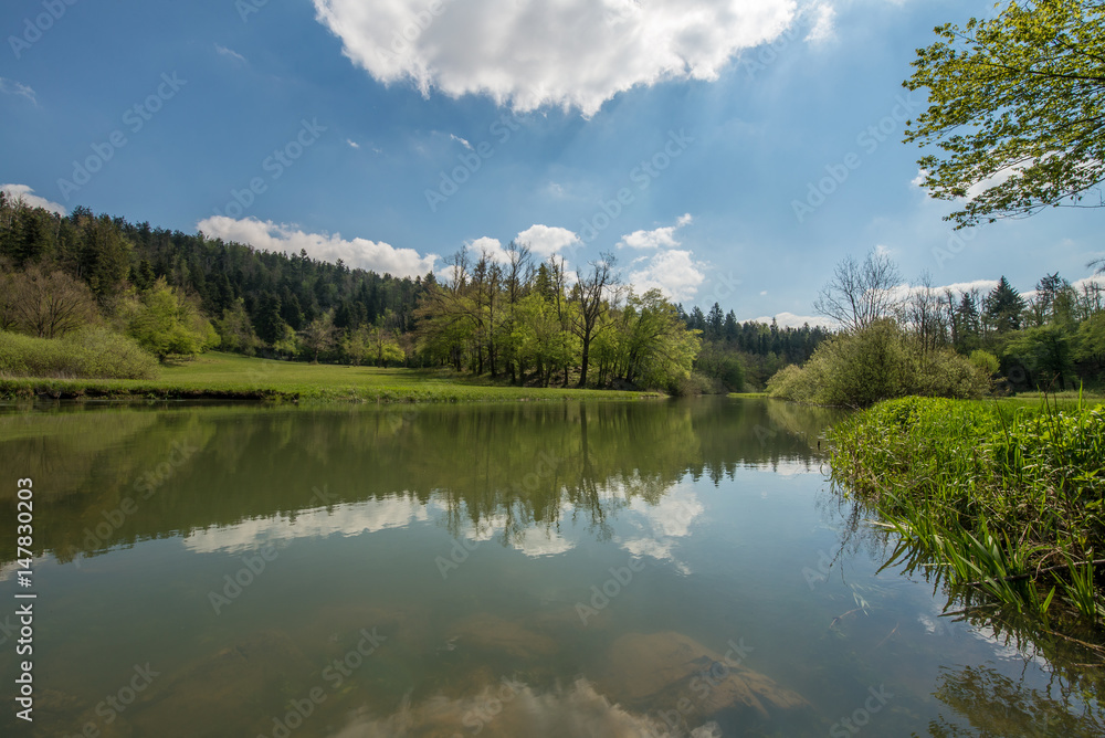 Scenic green landscape of Unesco protected regional park Rakov Skocjan in Slovenia during springtime