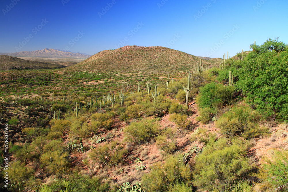 Desert mountain view as seen from the gift shop and cave entrance of Colossal Cave Mountain Park in Vail, Arizona, USA, near Tucson in the Sonoran Desert.