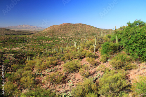 Desert mountain view as seen from the gift shop and cave entrance of Colossal Cave Mountain Park in Vail, Arizona, USA, near Tucson in the Sonoran Desert.