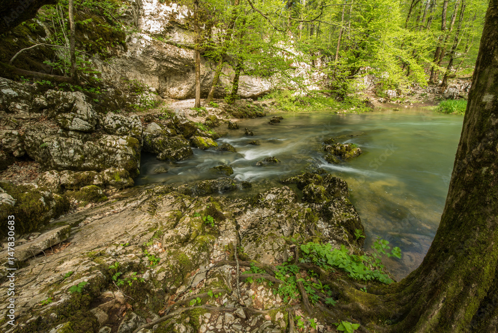 Obraz premium Scenic green landscape of Unesco protected regional park Rakov Skocjan in Slovenia during springtime