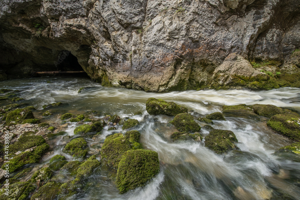Scenic karst river Rak in Unesco protected Rakov Skocjan national park in Slovenia 