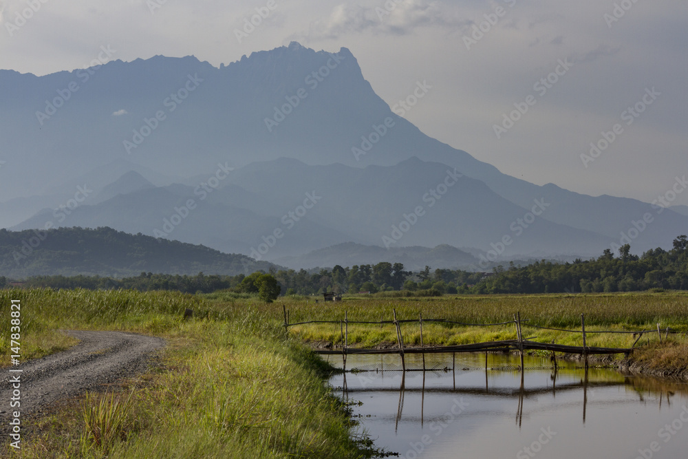 Fototapeta premium Irrigation canals of Kampung Sangkir Kota Belud, an old hut with Mount Kinabalu as background
