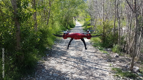 drone dans la nature