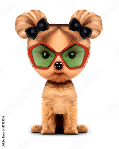 Adorable doggy with sunglasses, isolated on white. © boule1301
