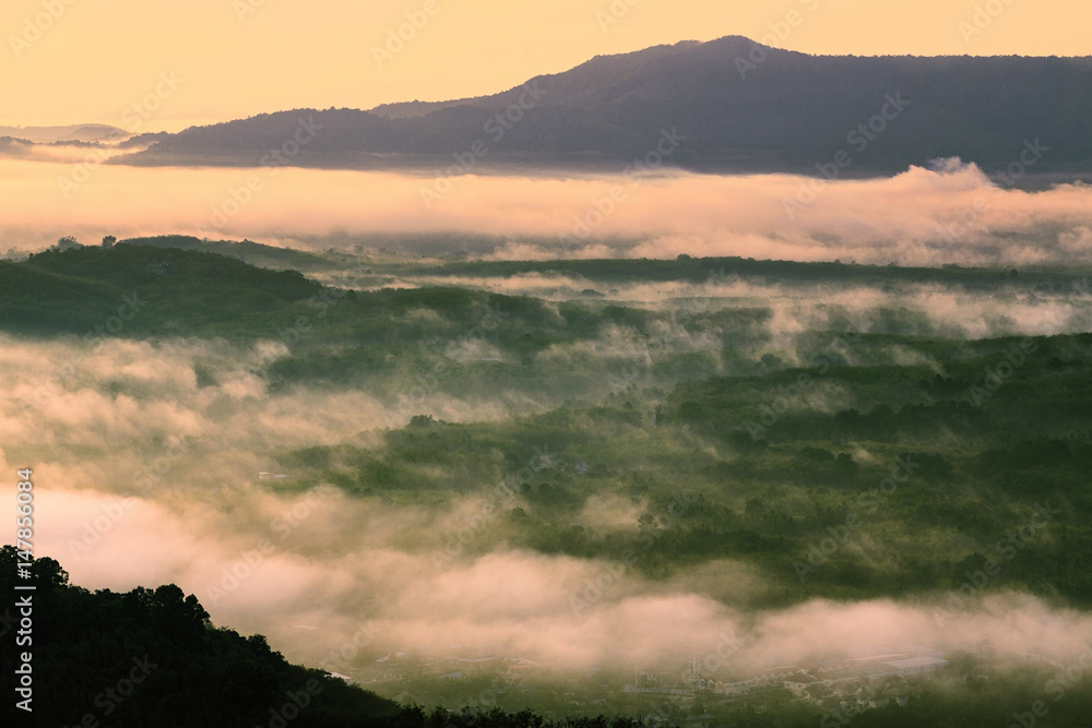 Forested mountain slope in low lying cloud in mist,scenic landscape view