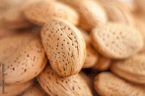 a close up macro shot of lot of almond nuts in the shell with selective focus and beautiful bokeh