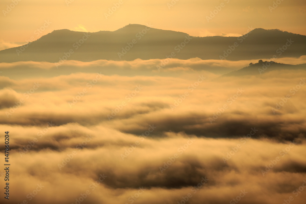 Morning Mist at Tropical Mountain Range,Thailand