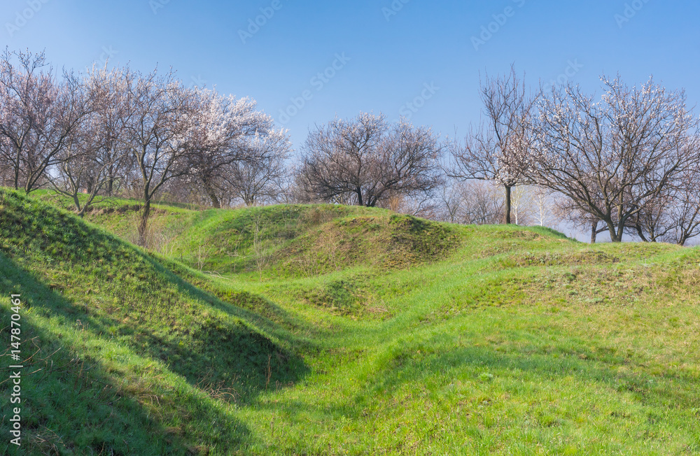 Landscape with flowering orchard on a hill in Ukraine Landscape with flowering orchard on a hill in Ukraine