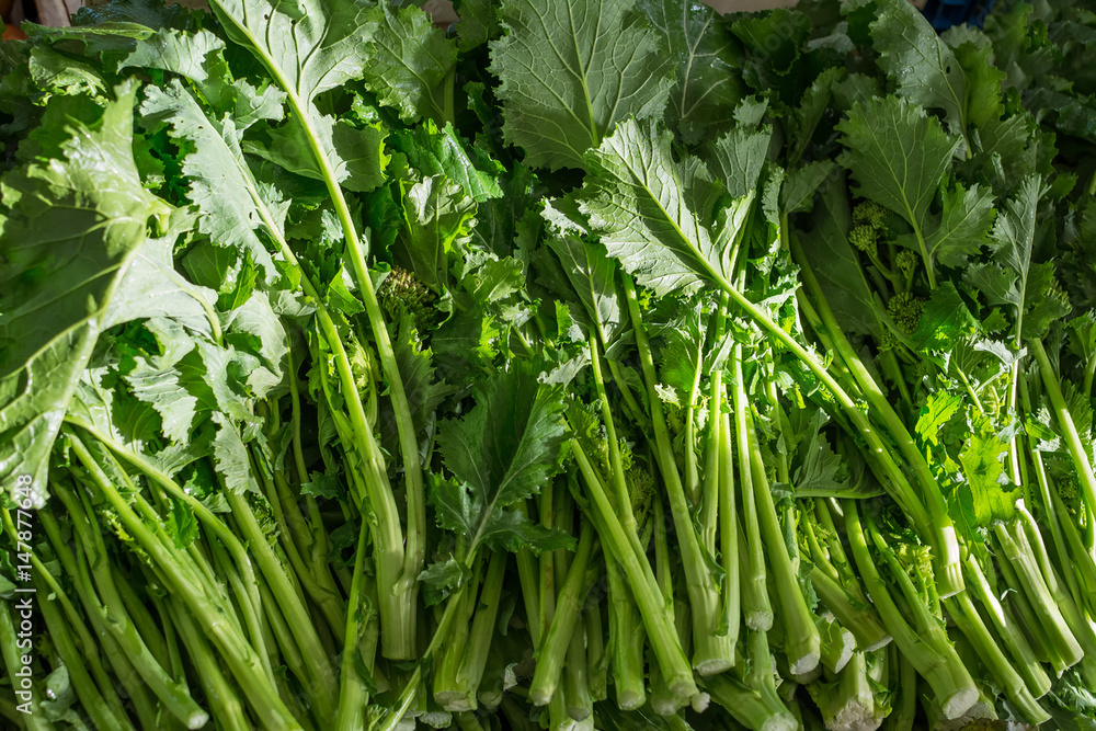 rapeseed in a vegetable market rapeseed in a vegetable market