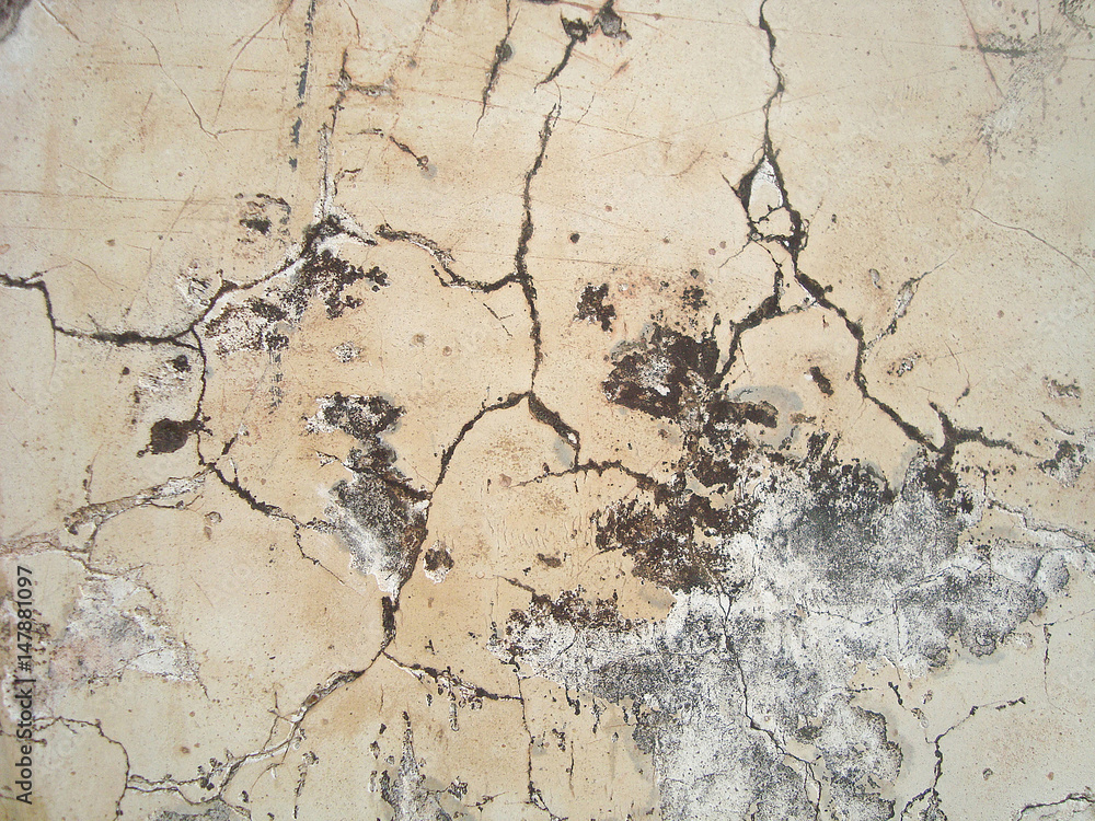 white concrete wall texture white concrete wall texture