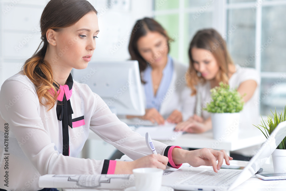 Fototapeta premium Portrait of a pleasant business woman 