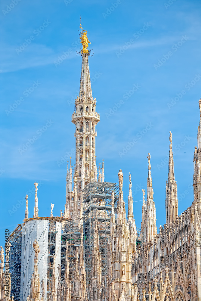 Details of the Milan Cathedral, the spiers and the Madonna Details of the Milan Cathedral, the spiers and the Madonna