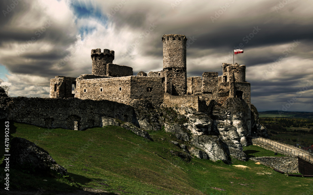 Ruins of Ogrodzieniec castle - Poland