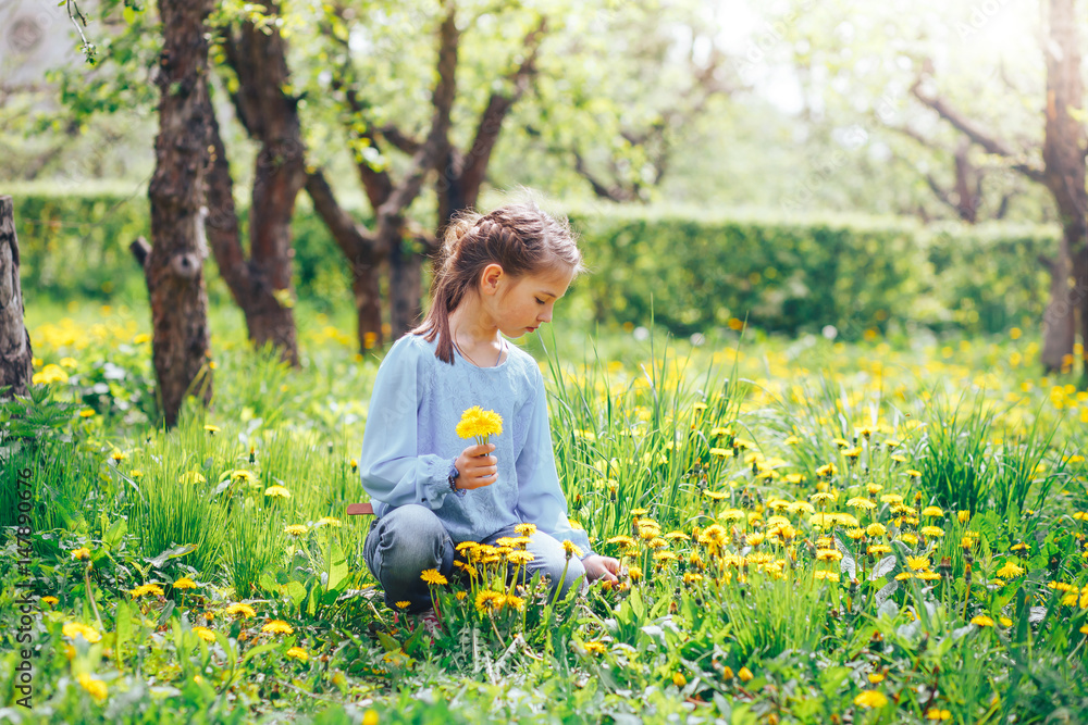 beautiful blond girl with blue eyes gathers dandelions on the meadow beautiful blond girl with blue eyes gathers dandelions on the meadow
