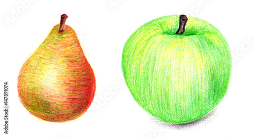 pear and apple sketch