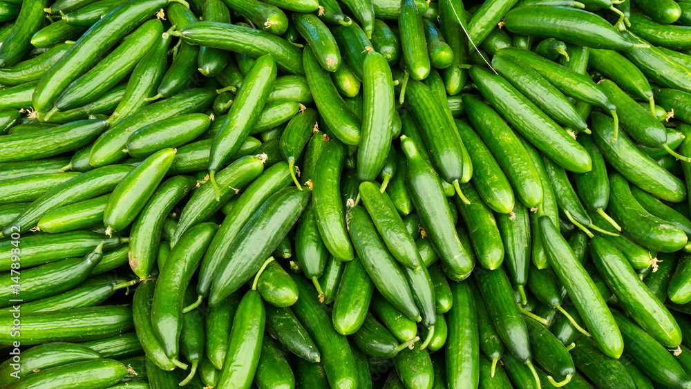 fresh cucumbers. food background fresh cucumbers. food background