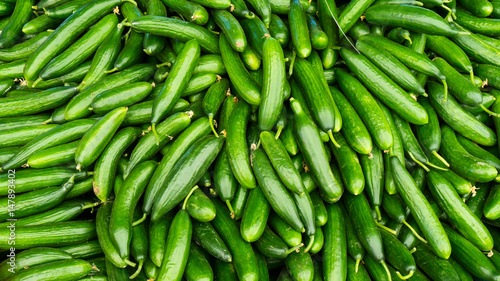 fresh cucumbers. food background