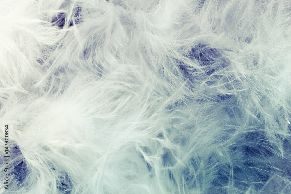 Abstract feathers