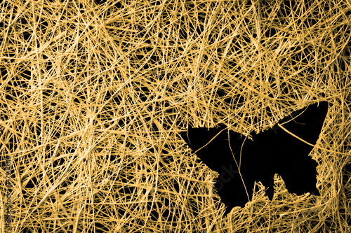 straw