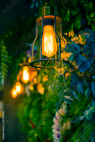 Jungle lamp in the forest green plant background interior cafe decoration.
