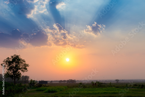 Countryside Sunset over rice field with sun light ray beam sky cloud shade shadow.