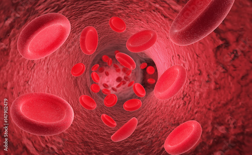 Red blood cells erythrocytes in interior of arterial or capillary blood vessel Showing endothelial cells and blood flow or stream Human anatomy model 3D visualization photo