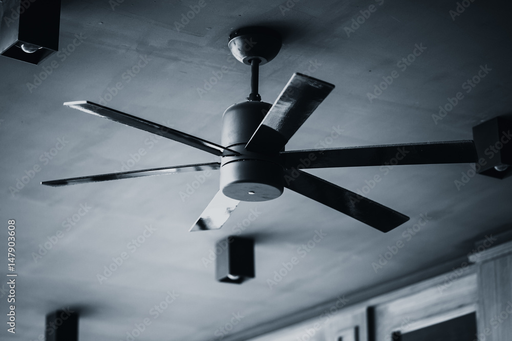 Fototapeta premium ceiling fan black and white tone