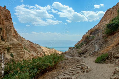 National Park Ein Gedi