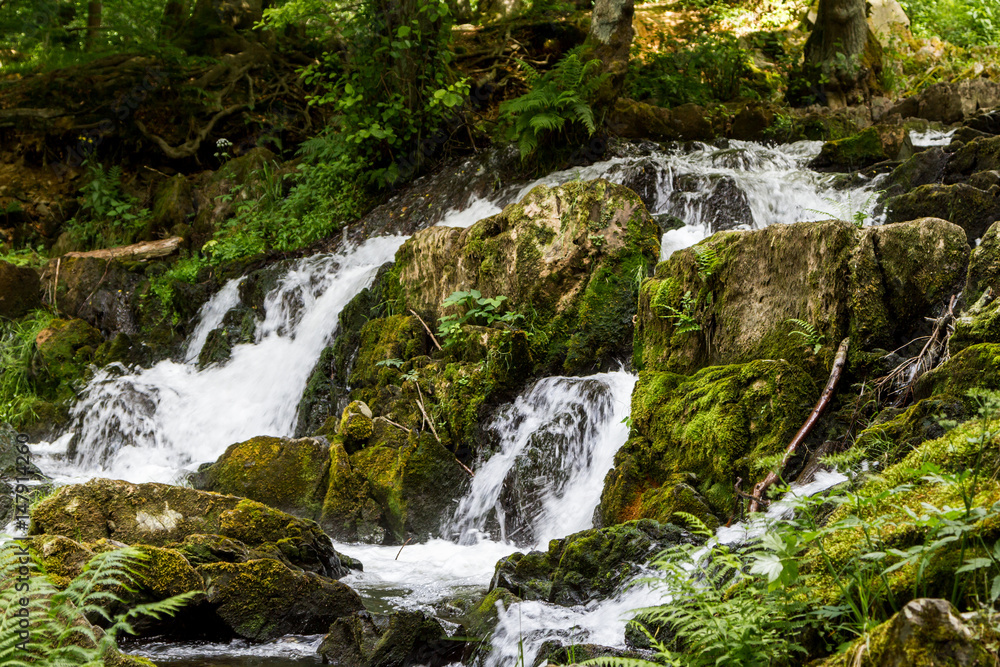 Fototapeta premium Wasserfall im Selketal Harz