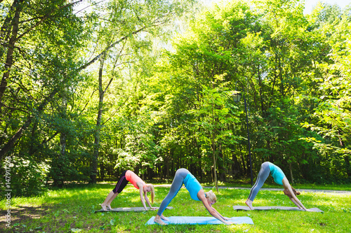 Fototapeta Naklejka Na Ścianę i Meble -  Fitness group doing yoga in park on a sunny day