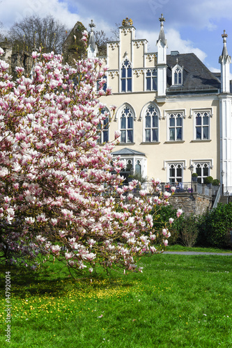 Spring with magnolia tree in full bloom and a manor house. Germany. Seyn city