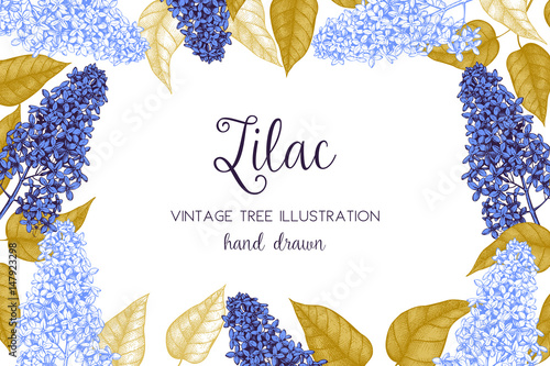 Vintage vector spring card. Hand drawn blooming branches of lilac tree. Botanical illustration on chalkboard