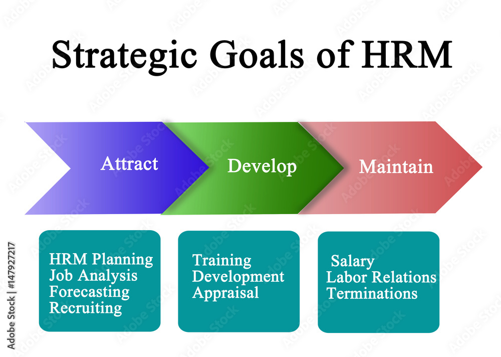 Strategic Goals of HRM Strategic Goals of HRM