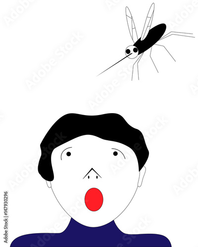 Stechmücke im Anflug