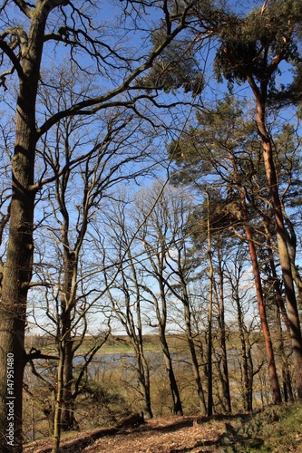 Durchblick ins Elburstromtal vom Hohen Elbufer bei Lauenburg