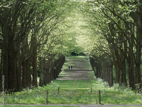 Parc de Sceaux