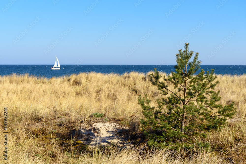 Alone sailboat on the Baltic Sea.  A view from coastal promenade in Hel. Poland.